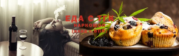СК Ельня