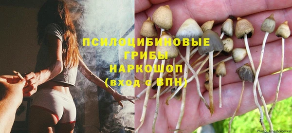 дживик Богородицк