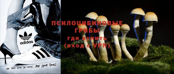 соль курить ск Белокуриха