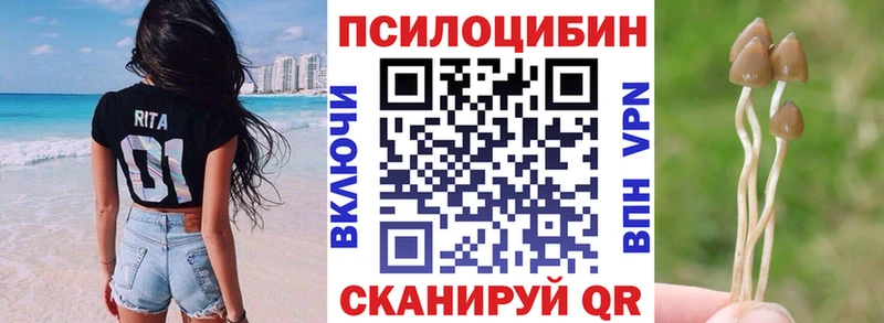 Галлюциногенные грибы мухоморы  купить наркоту  Донской 